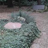 Denkmal Cottas Grab im Tharandter Wald