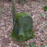 Denkmal "Erschlagene Frau" im Tharandter Wald